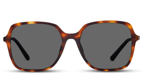darcey-classic-specs-square-frame
